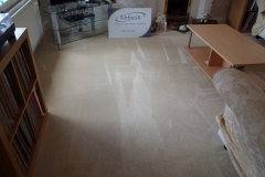 Abfresh | North East Carpet & Upholstery Cleaning Services