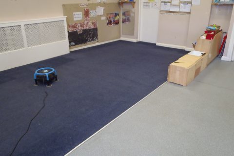 Commercial Carpet Cleaning